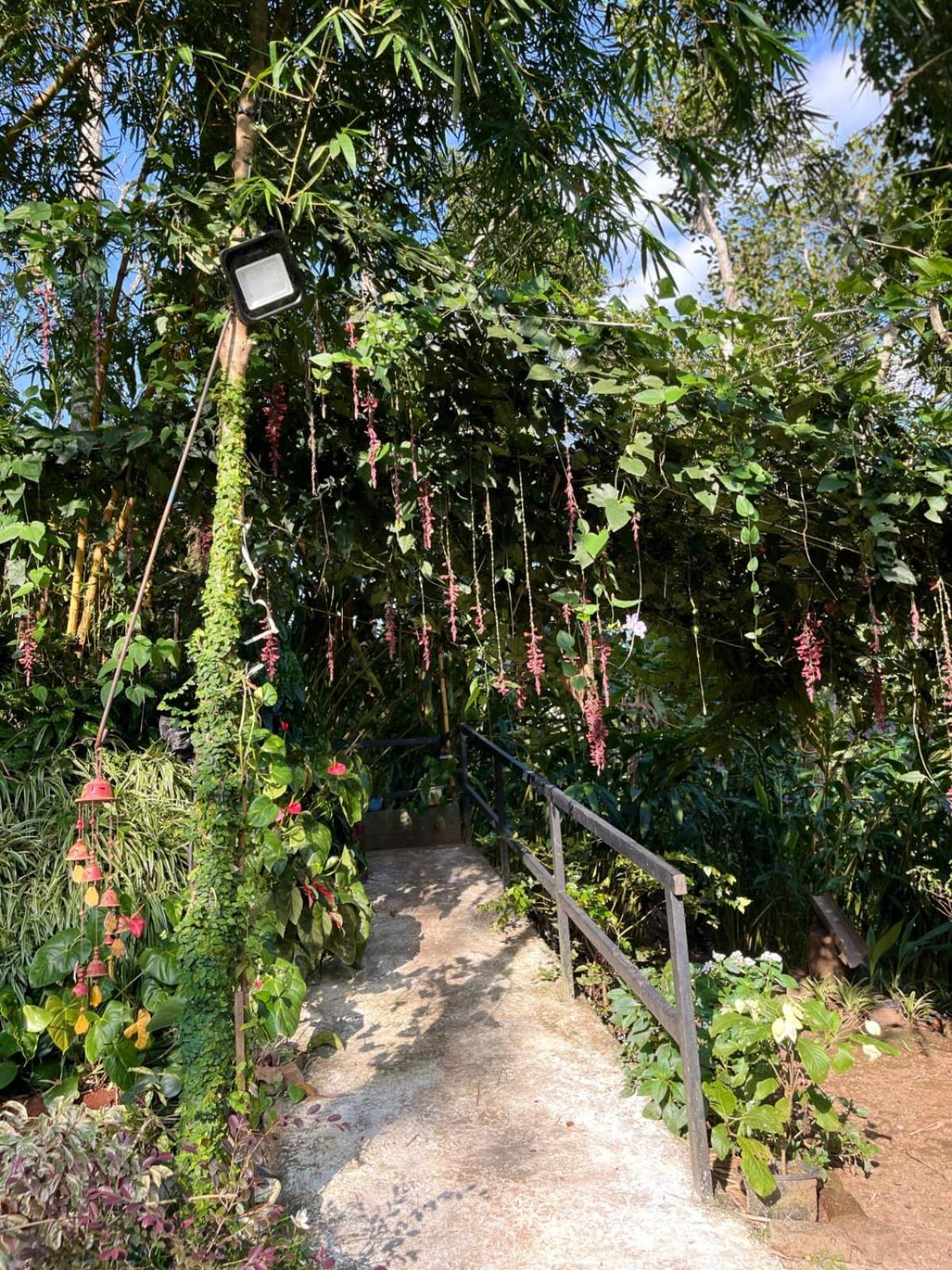 Lush Acres Villa Thekkady Eksteriør bilde