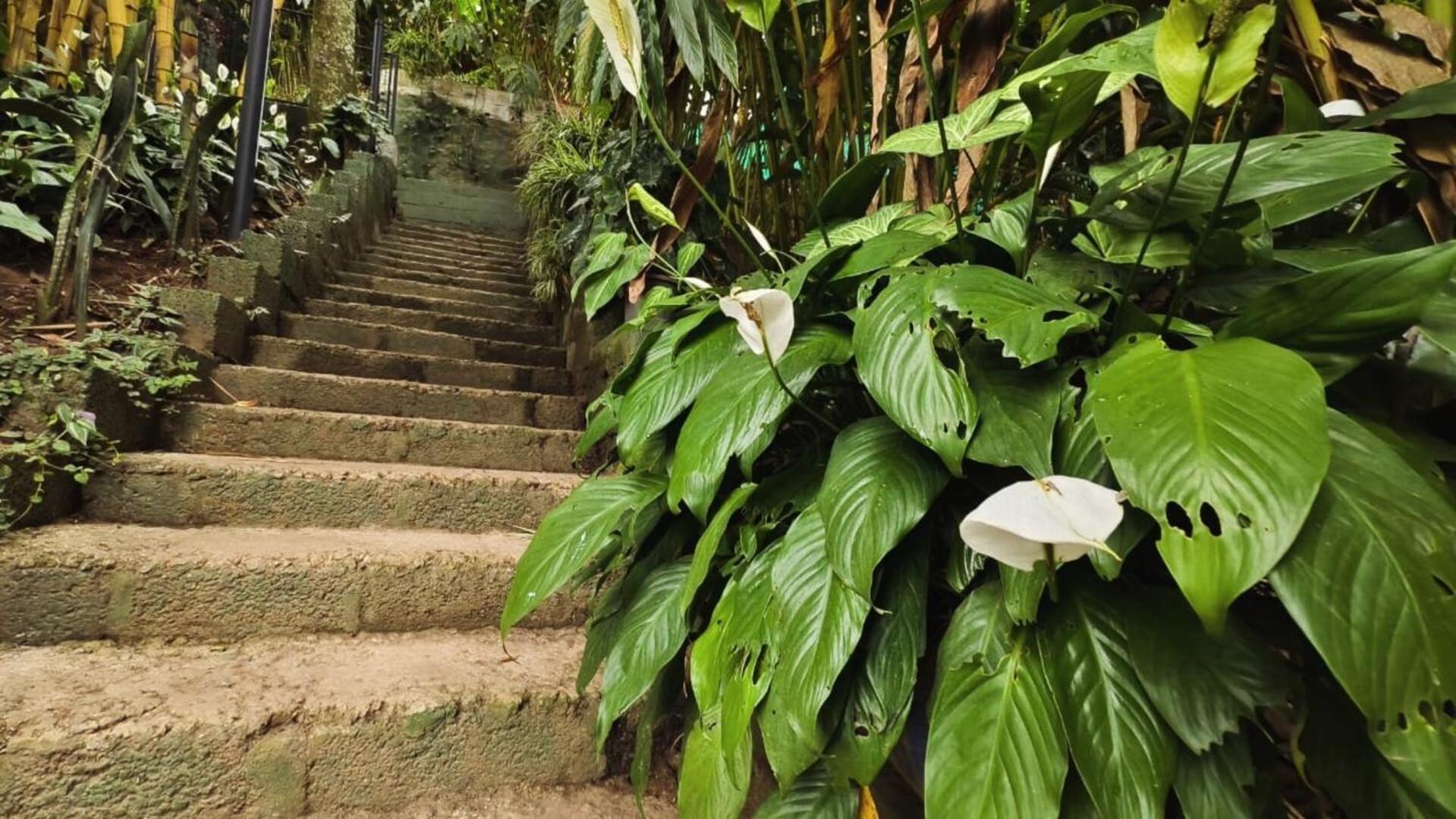 Lush Acres Villa Thekkady Eksteriør bilde